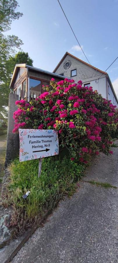 Ferienwohnungen Hering Kleingiesshubel Kültér fotó